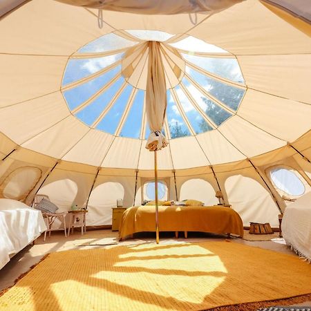 Eco Ceiba Hotel Busque Kültér fotó