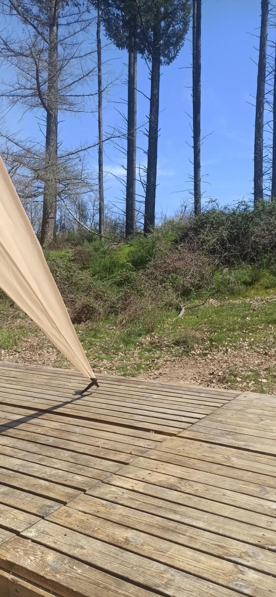 Eco Ceiba Hotel Busque Kültér fotó